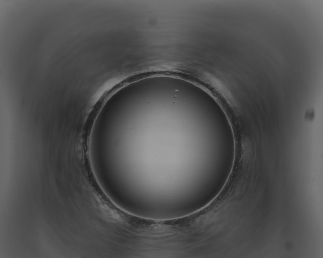X0000093481308200710191158