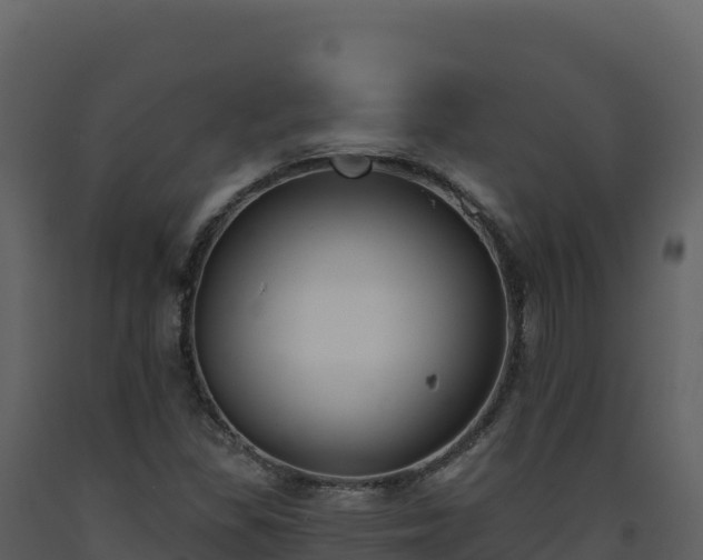 X0000093481309200710191158