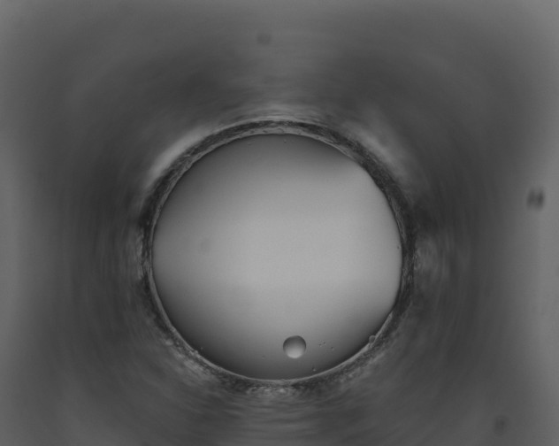 X0000093481310200710191158
