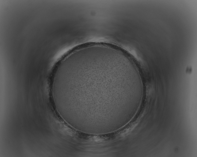 X0000093481311200710191158