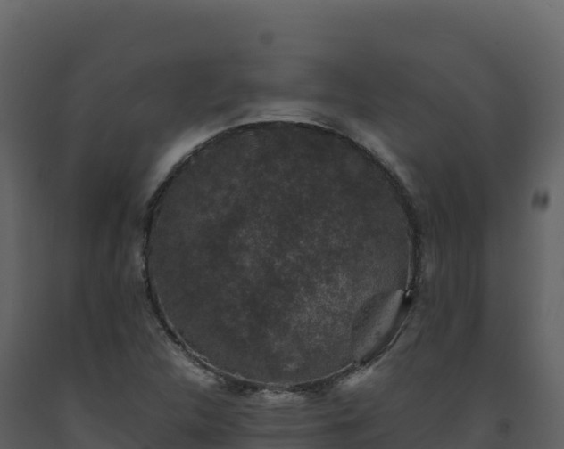 X0000093481312200710191158