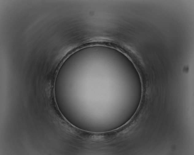 X0000093481313200710191158
