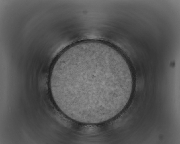 X0000093481314200710191158