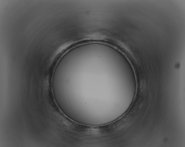 X0000093481315200710191158