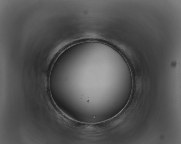 X0000093481318200710191158