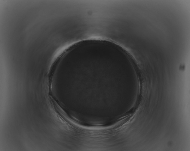 X0000093481319200710191158