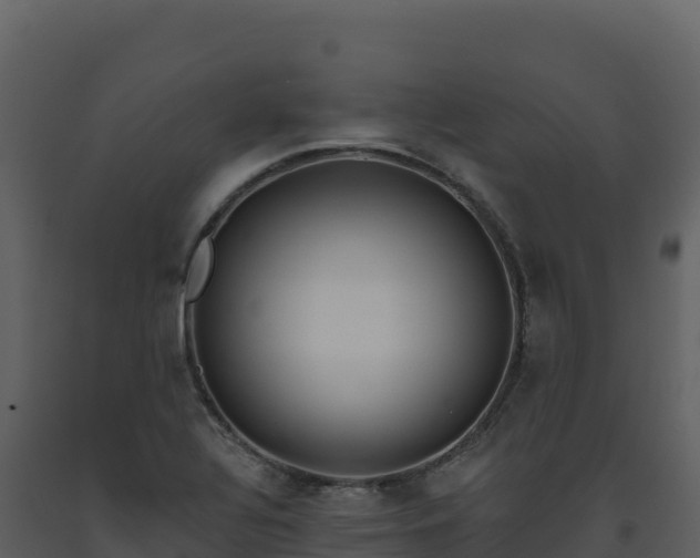 X0000093481320200710191158