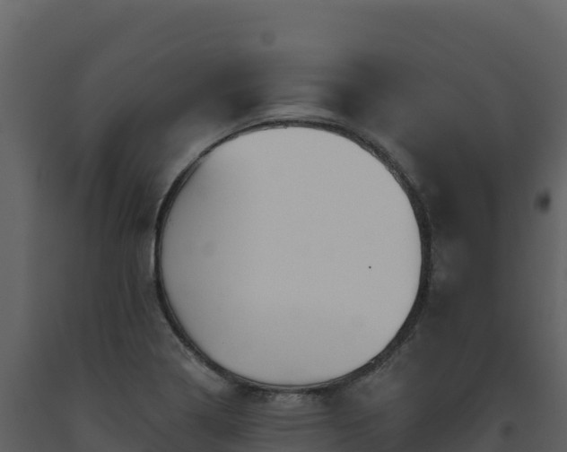 X0000093481322200710191158