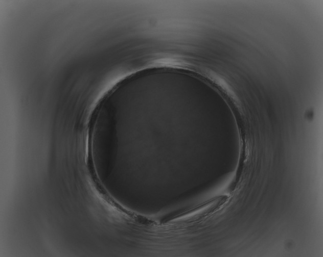 X0000093481323200710191158