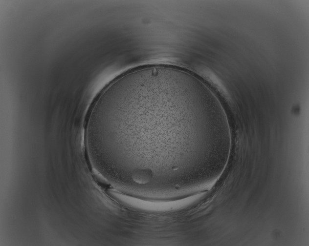 X0000093481324200710191158