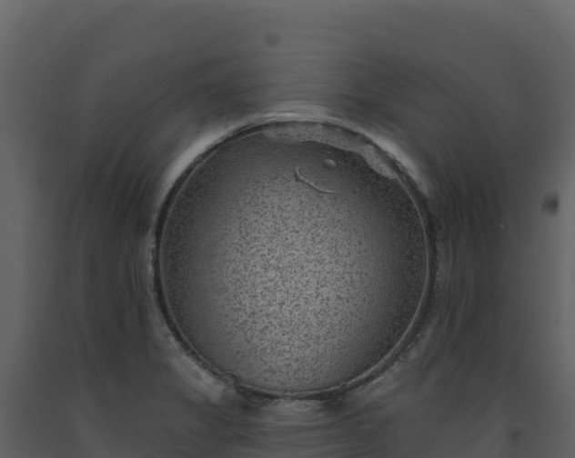 X0000093481325200710191158