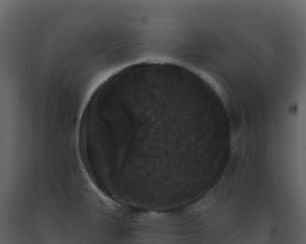 X0000093481327200710191158