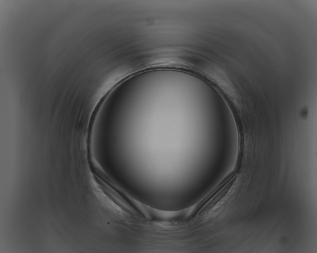 X0000093481330200710191158