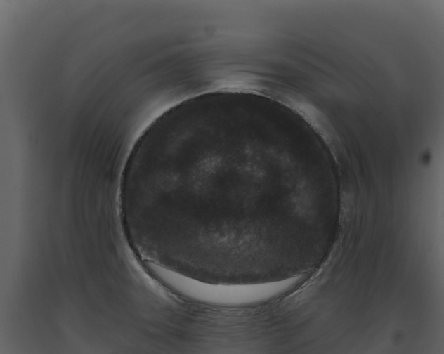 X0000093481331200710191158