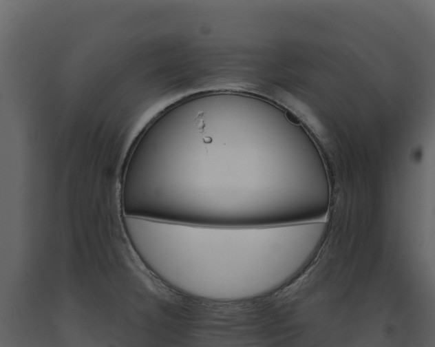 X0000093481332200710191158