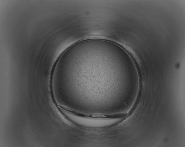 X0000093481333200710191158