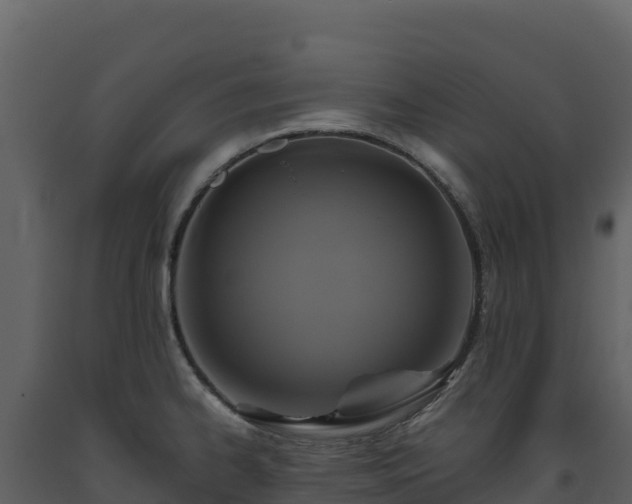 X0000093481334200710191158