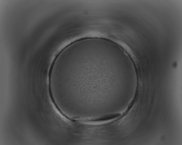 X0000093481335200710191158