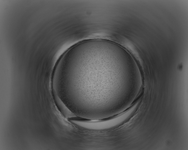 X0000093481336200710191158