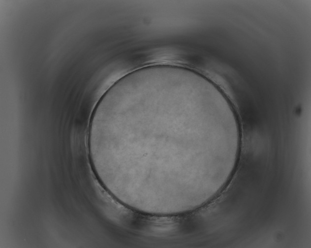 X0000093481338200710191158