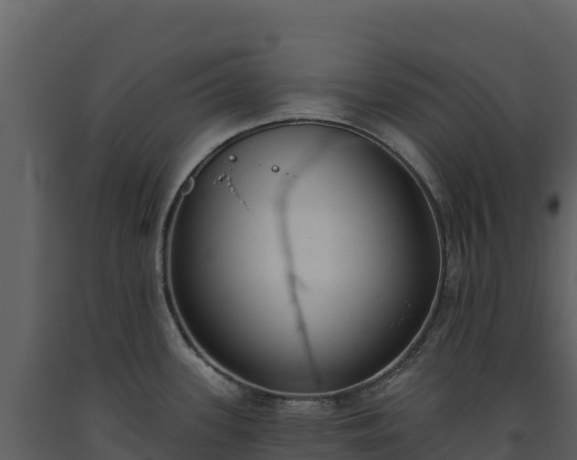 X0000093481339200710191158