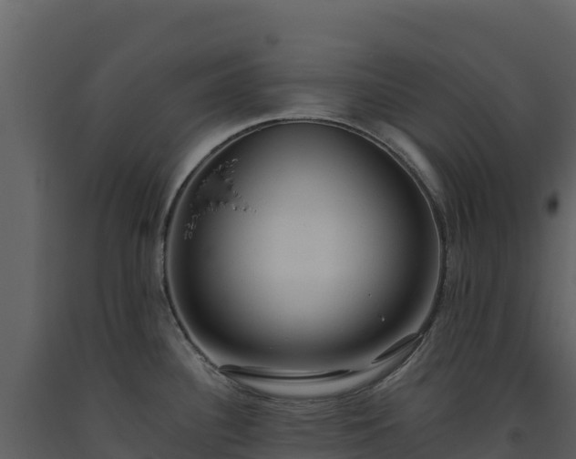 X0000093481340200710191158