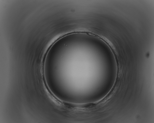X0000093481342200710191158
