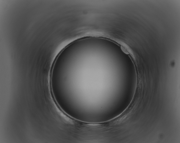 X0000093481343200710191158