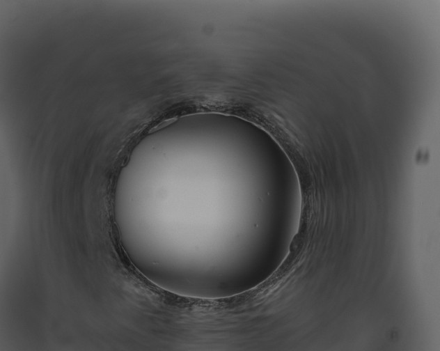 X0000093481345200710191158
