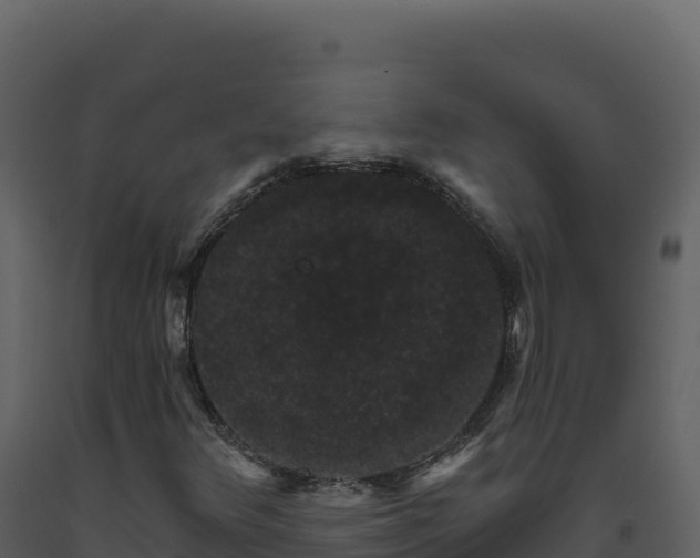 X0000093481348200710191158