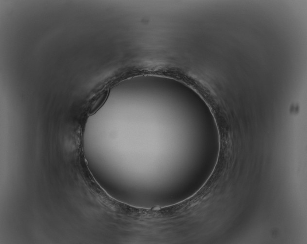X0000093481349200710191158