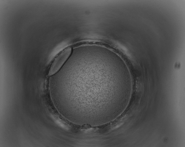 X0000093481352200710191157