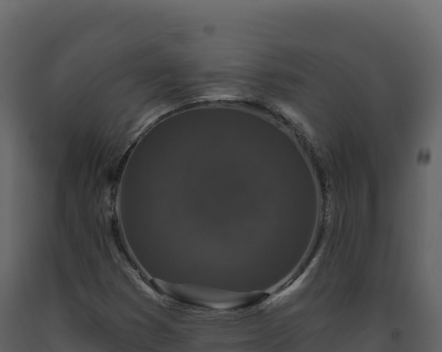 X0000093481353200710191157