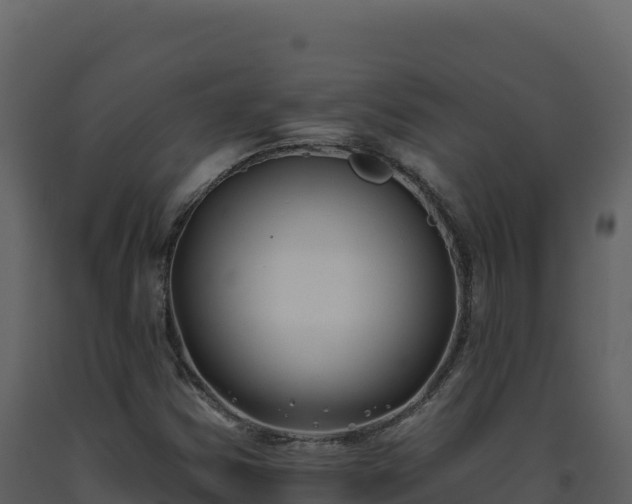 X0000093481354200710191157