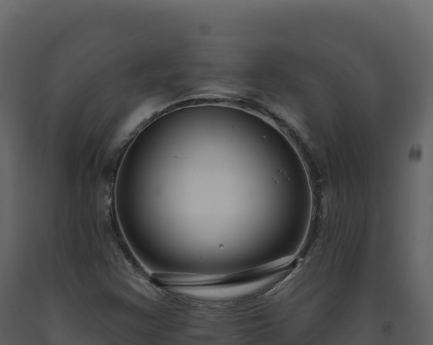 X0000093481355200710191157