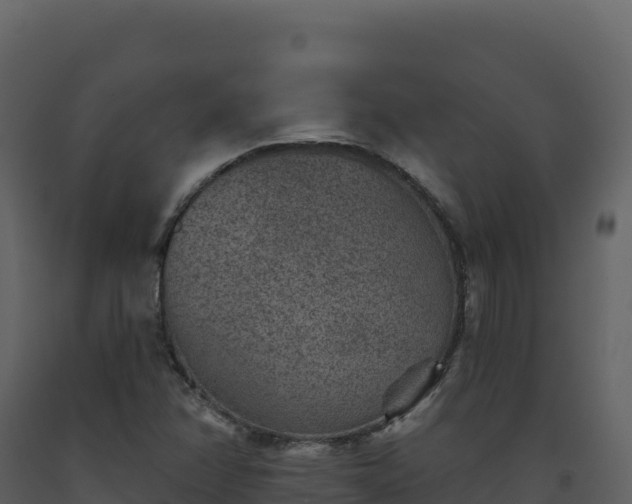 X0000093481358200710191157