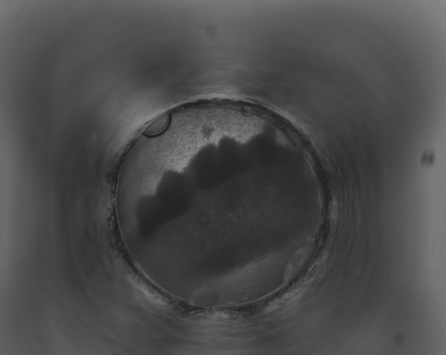 X0000093481359200710191157