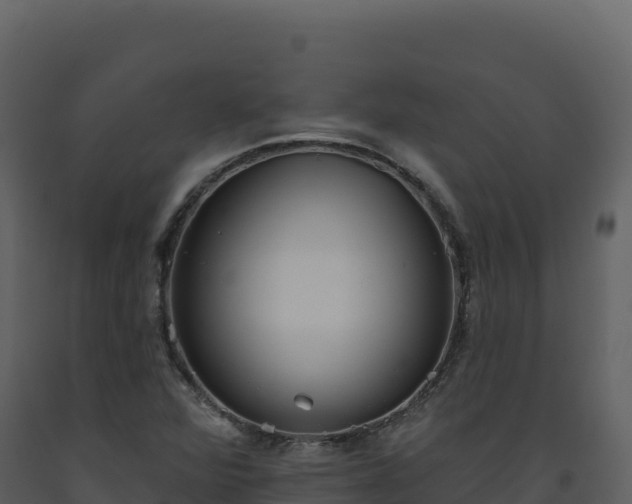 X0000093481360200710191157