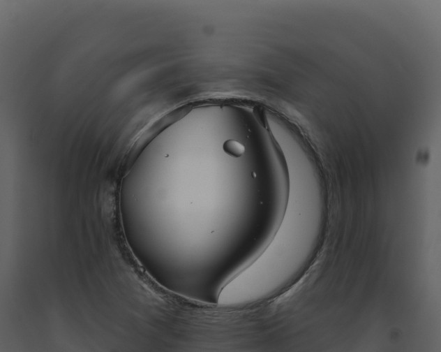 X0000093481361200710191157