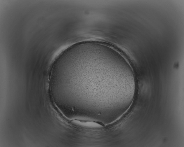 X0000093481363200710191157
