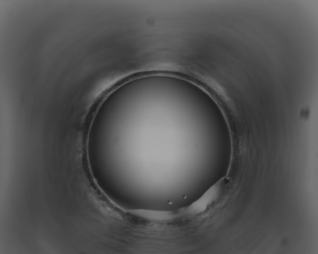 X0000093481364200710191157