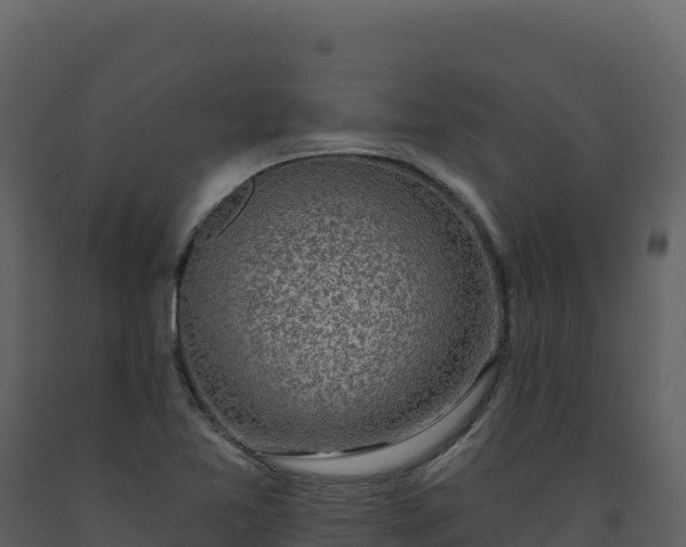 X0000093481365200710191157