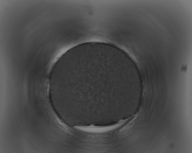 X0000093481367200710191157