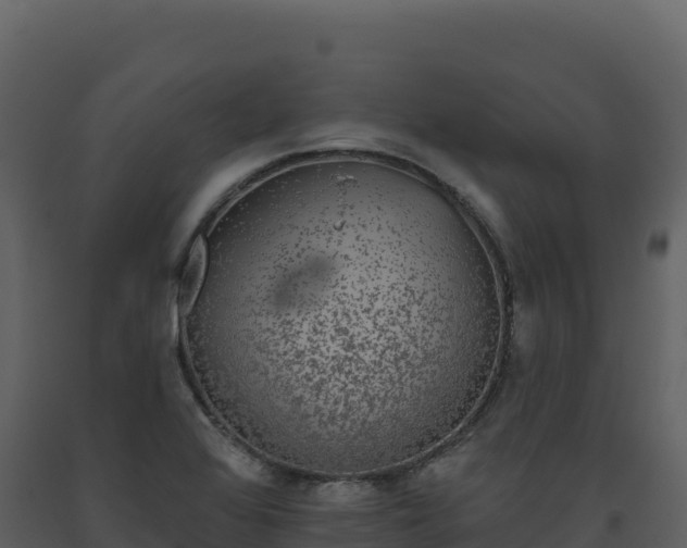 X0000093481368200710191157