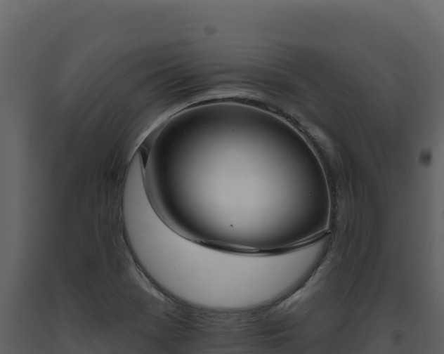 X0000093481369200710191157