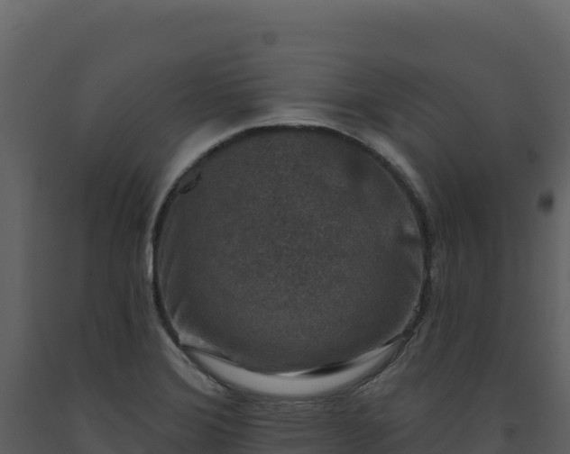 X0000093481372200710191157