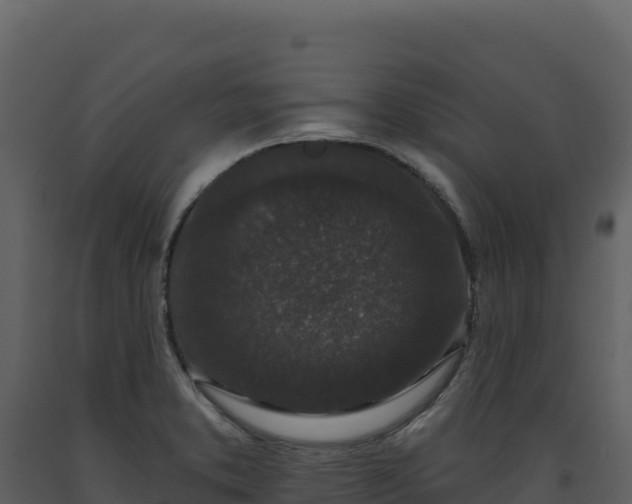 X0000093481373200710191157