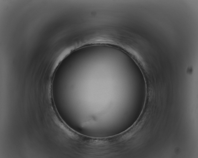 X0000093481374200710191157