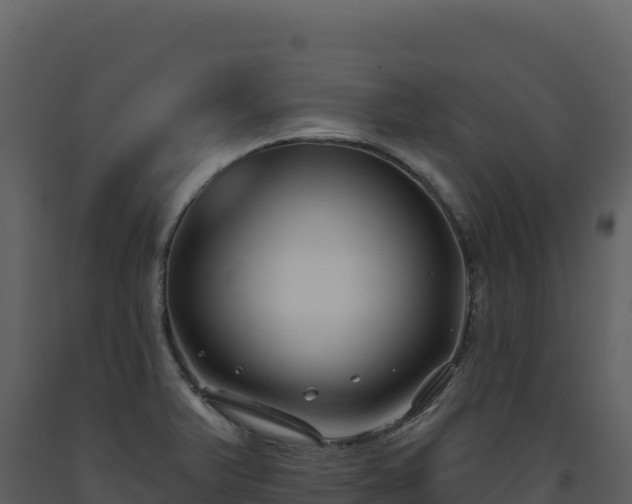 X0000093481375200710191157