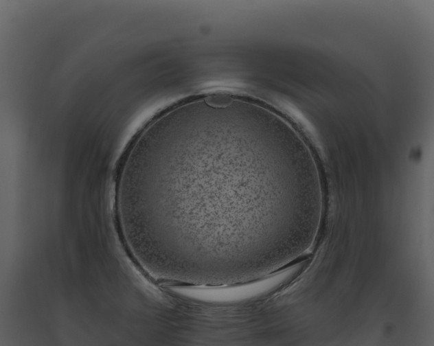 X0000093481376200710191157